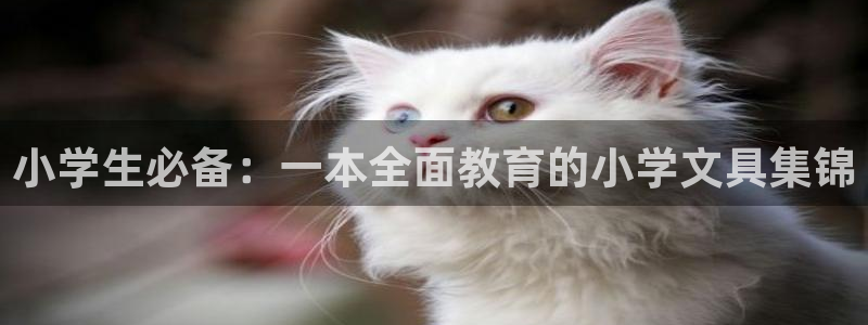 九游会手机app：小学生必备：一本全面教