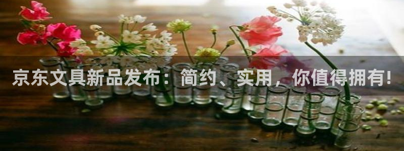 九游会与俄罗斯专享会：京东文具新品发布：
