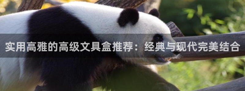 九游会国际 www：实用高雅的高级文具盒