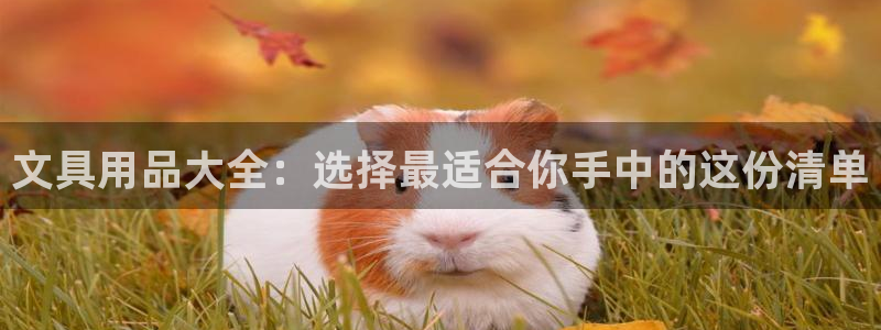 九游会体育官方：文具用品大全：选择最适合