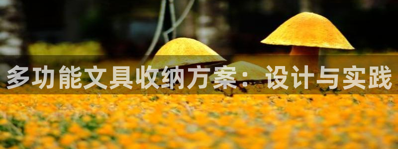 九游会和尊龙：多功能文具收纳方案：设计与
