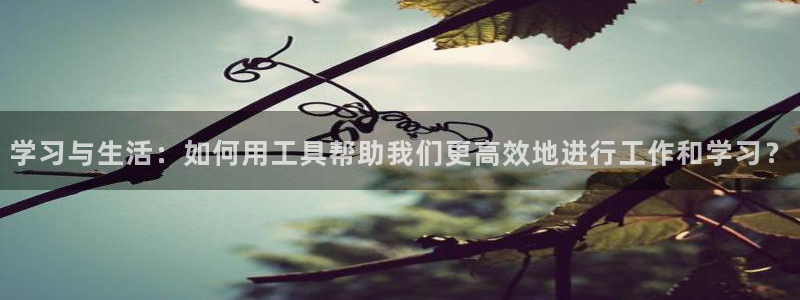 九游会不提款：学习与生活：如何用工具帮助