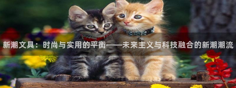 九游会国际 www：新潮文具：时尚与实用