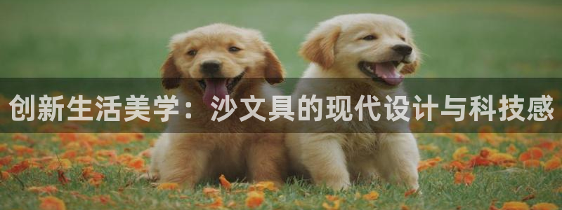 九游会倒闭：创新生活美学：沙文具的现代设
