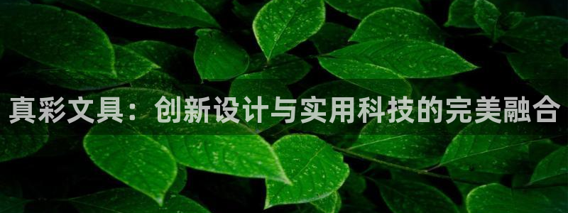 九游会登录最强版本答案：真彩文具：创新设