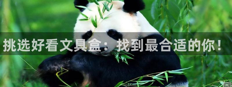 九游会官网入口：挑选好看文具盒：找到最合