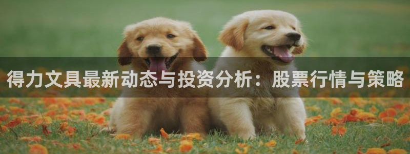 九游会app 下载：得力文具最新动态与投