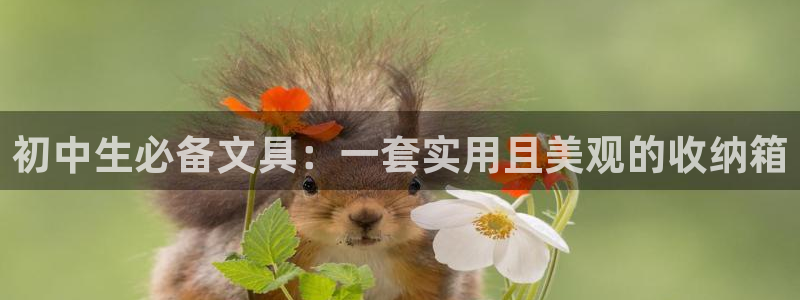 j9九游会旧版：初中生必备文具：一套实用