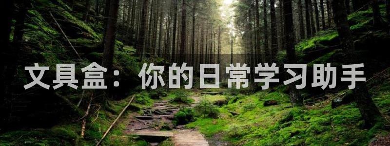 九游会最新官网ag：文具盒：你的日常学习