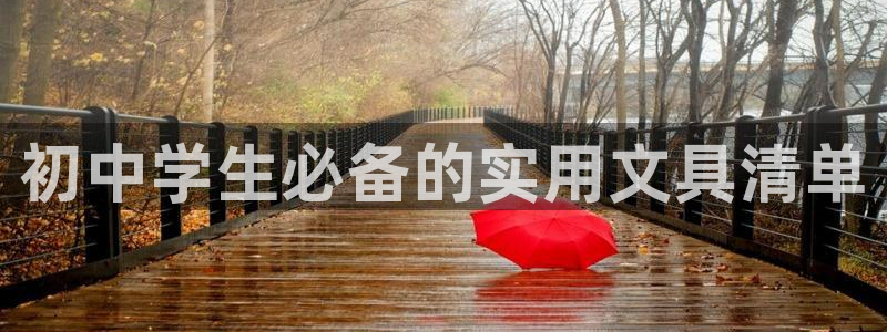 九游贵宾会：初中学生必备的实用文具清单