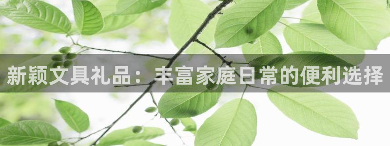 九游会人口：新颖文具礼品：丰富家庭日常的