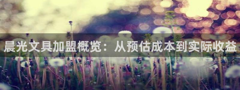 jy9九游会：晨光文具加盟概览：从预估成