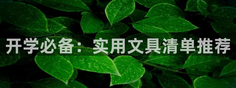 九游会数字货币平台：开学必备：实用文具清
