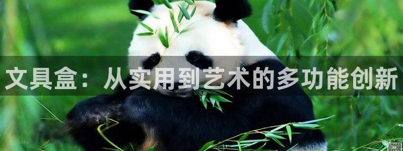 j9九游会官方网站国际：文具盒：从实用到