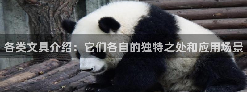 九游会邮箱：各类文具介绍：它们各自的独特