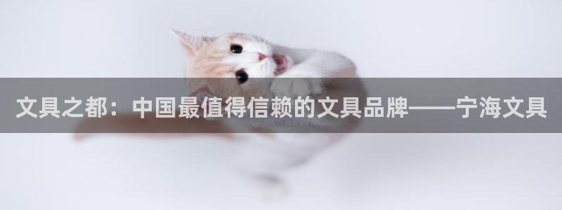 九游会app官方：文具之都：中国最值得信