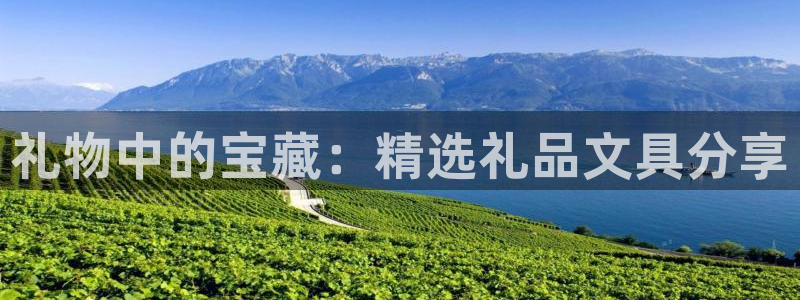 九游会线上：礼物中的宝藏：精选礼品文具分