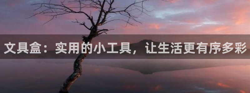 九游会aj亚州：文具盒：实用的小工具，让