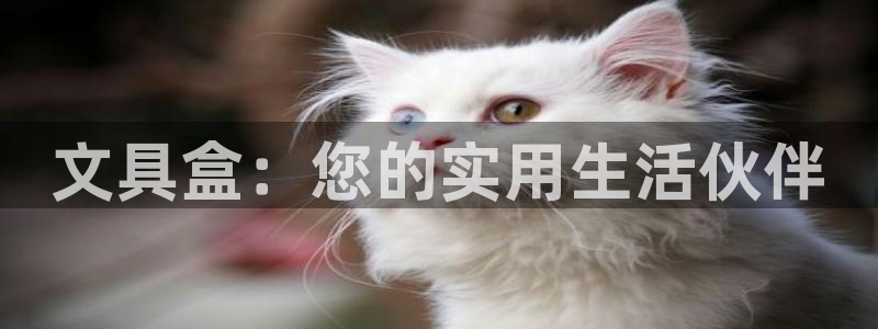 九游会新版：文具盒：您的实用生活伙伴