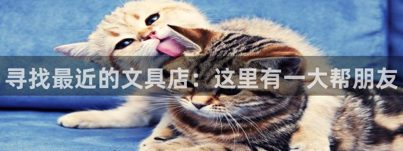 九游会官网手机版本：寻找最近的文具店：这