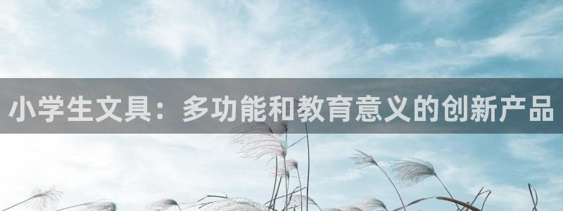 九游会充币：小学生文具：多功能和教育意义