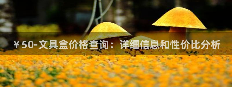 亚博九游会ku游：￥50-文具盒价格查询