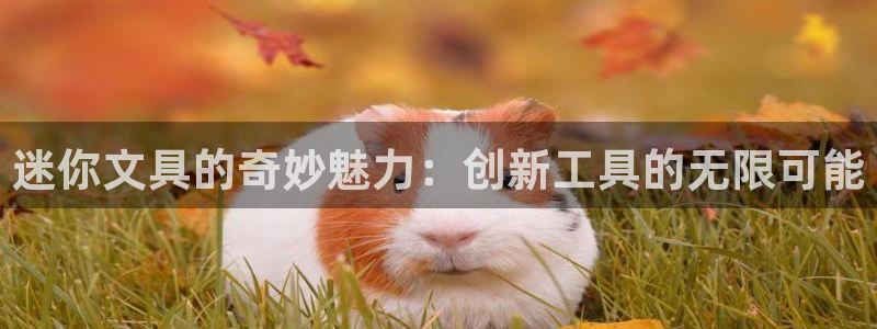 九游账号会丢吗吗：迷你文具的奇妙魅力：创