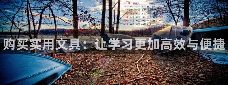 旧版九游会入口