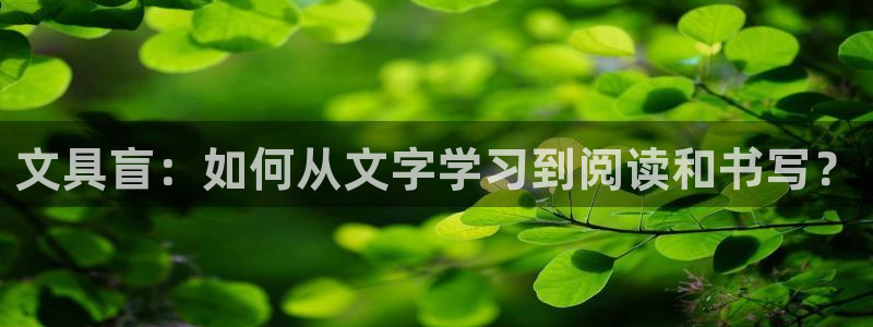 ag九游会网址大全