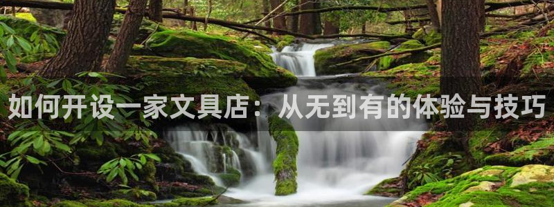 九游会黑款