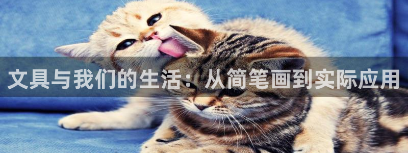 九游会官网