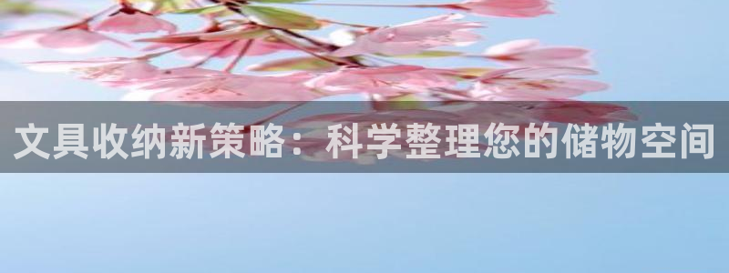 九游会提款1亿稳定吗：文具收纳新策略：科