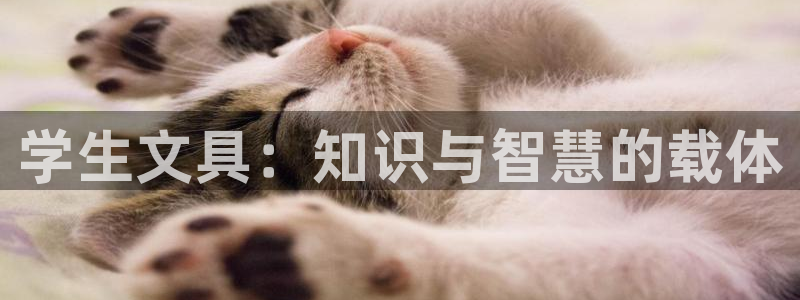 九游会倒闭了吗：学生文具：知识与智慧的载