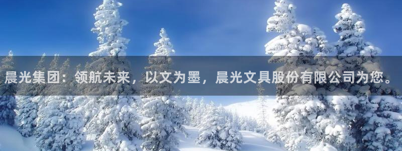 九游会怎么登录：晨光集团：领航未来，以文