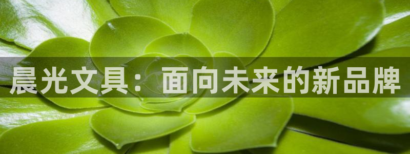 九游会邮箱