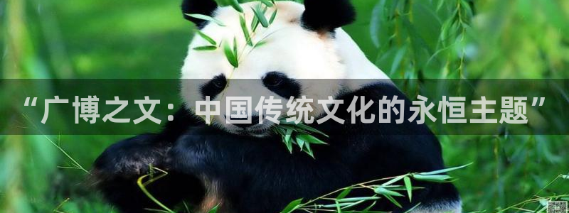 九游会阿里28：“广博之文：中国传统文化
