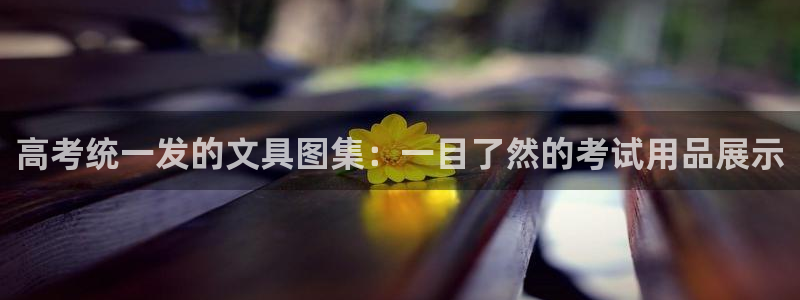 九游会彩票平台：高考统一发的文具图集：一