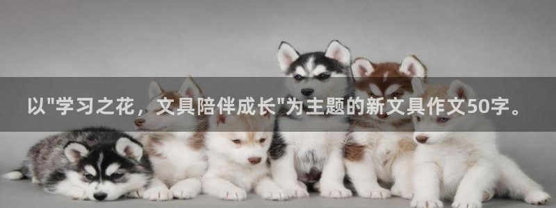 曝光九游会：以\