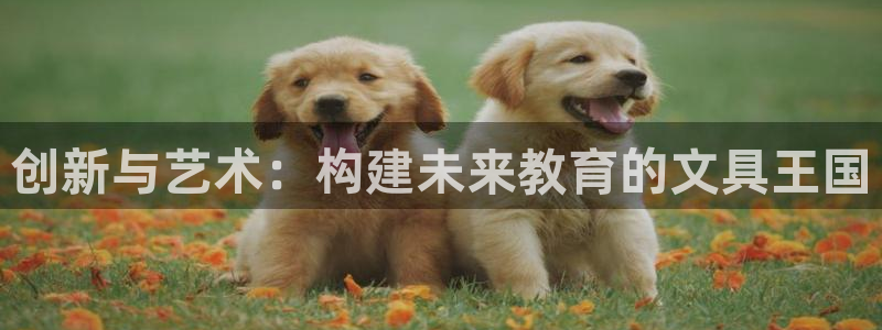 AG九游会官网登陆网址：创新与艺术：构建