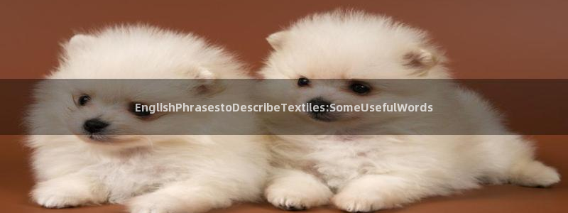 玩九游会：EnglishPhrasest