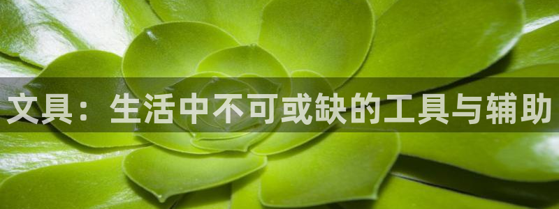 九游会官方app：文具：生活中不可或缺的