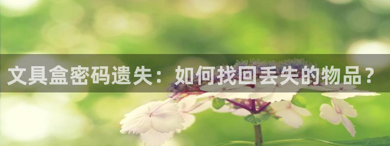 九游会aj亚州：文具盒密码遗失：如何找回